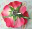 5" Bright Pink Rose Swarovski Rhinestone Silk Flower Combo HAIR Clip BROOCH Pin