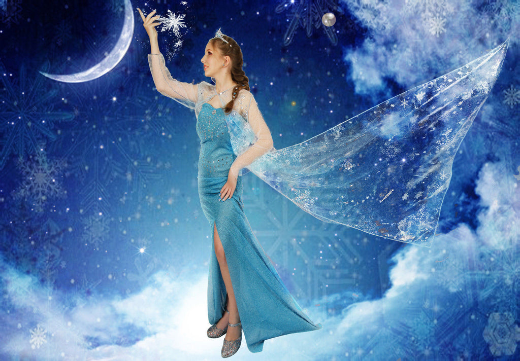 Adult Womens Frozen Princess Elsa Costume Cosplay Party Gown Fancy Dress Outfit