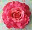 5" Bright Pink Rose Swarovski Rhinestone Silk Flower Combo HAIR Clip BROOCH Pin
