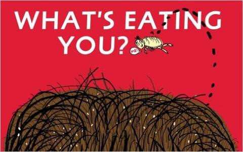 Walker Books Animal Science Collection - What's Eating You?